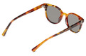 Alternate Product View 3 for Jethro Sunglasses HAV HOR / VINT GREY