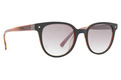 Alternate Product View 1 for Jethro Sunglasses BLACK-BROWN LAM/BROWN GRA