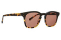 Morse Sunglasses Tortuga De Negro / Bronze Lens Color Swatch Image