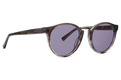 Stax Sunglasses Asphalt Gloss / Grey Lens Color Swatch Image